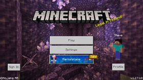 Bedrock Edition 1 17 10 Minecraft Wiki