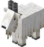 Goat