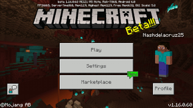 Bedrock 1.16.0.60