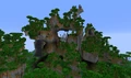 A Jungle biome in the amplified world type, with a mega taiga in the background.