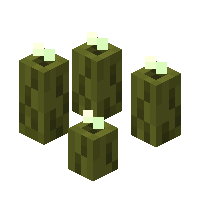 シーピクルス Minecraft Wiki シーピクルス Minecraft Wiki