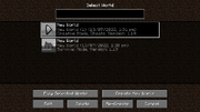 JE-1.19-World-Selection-Menu