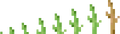 A picture of the growth stages of a melon stem.