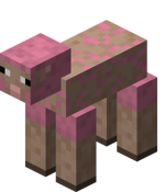 Sheared Pink Sheep