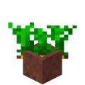 Potted Carrots.png