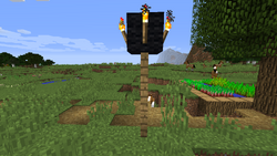 羊毛 Minecraft Wiki