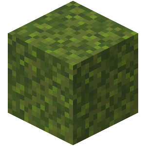 苔ブロック Minecraft Wiki