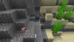 熱帯魚 Minecraft Wiki