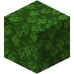 Dark Oak Leaves (Fast) BE