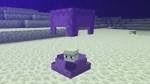 シュルカー Minecraft Wiki シュルカー Minecraft Wiki