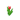 Red Tulip JE2 BE2