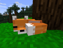 キツネ Minecraft Wiki Fandom