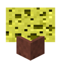 Potted Sponge.png