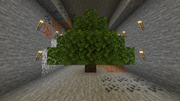 UndergroundTree