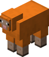ヒツジ Minecraft Wiki ヒツジ Minecraft Wiki
