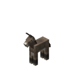 DonkeyFoal