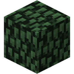 削除されたブロック Minecraft Wiki