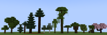 Trees 1