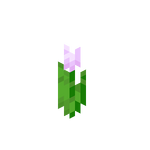 花 Minecraft Wiki Fandom