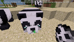 パンダ Minecraft Wiki