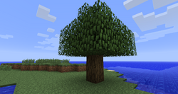 木 Minecraft Wiki