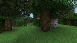 葉 Minecraft Wiki