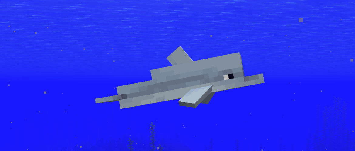mqdefault.jpg