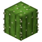 サボテン Minecraft Wiki