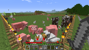 AnimalFarm