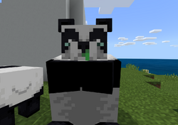 パンダ Minecraft Wiki