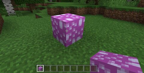 チュートリアル Bedrock Edition リソースパックの作成 Minecraft Wiki Fandom