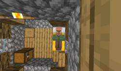 Villager sleeping