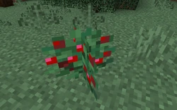 スイートベリーの低木 Minecraft Wiki