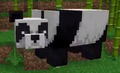 The first image of pandas, from MINECON Earth 2018.