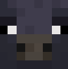 SootyPigFace
