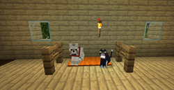 ネコ Minecraft Wiki ネコ Minecraft Wiki