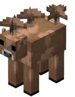 Brown Mooshroom