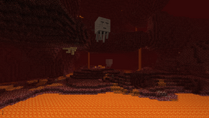 Nether