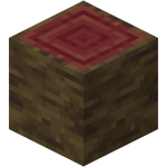 Mangrove Log (UD) JE1 BE1