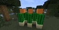 Simple-cactus-farm.png