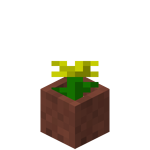Potted Dandelion