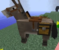 Saddled Chested Donkey