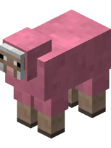 Pink Sheep