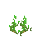 Potatoes Age 1 JE2 BE2