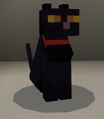 Tamed black cat