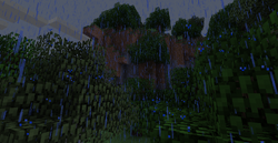 Rainy Hills