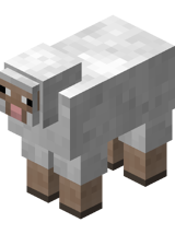 White Sheep