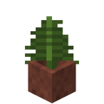 Potted Fern