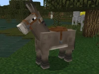 Saddled Donkey