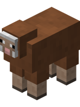 Brown Sheep